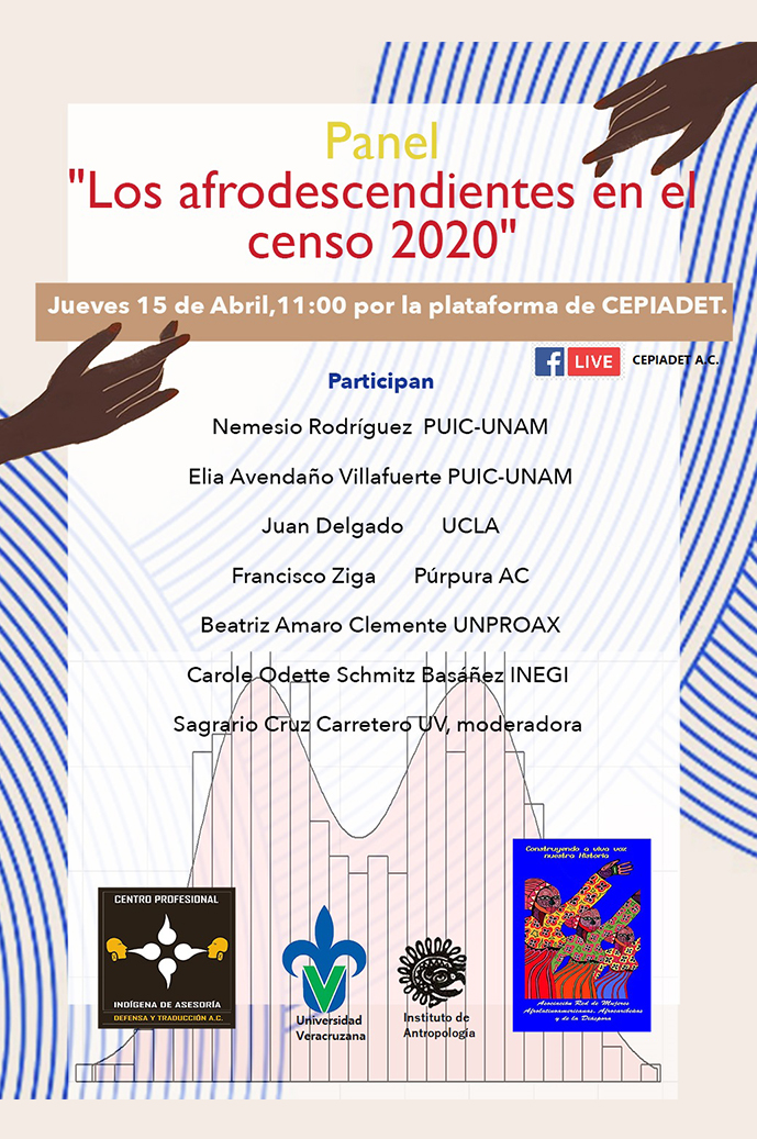 Panel Los Afrodescendientes en el censo 2020.