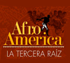 Cartel - II Curso de divulgación Afroamérica. La tercera raíz